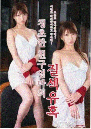 韩国伦理片高清完整版《母亲的书桌》海报